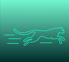 Velocity